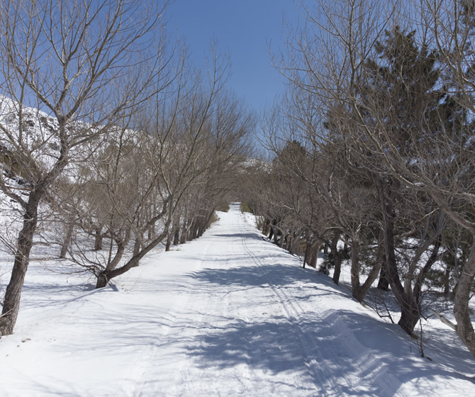 Etna Family - Cosa vedere Cosa Fare