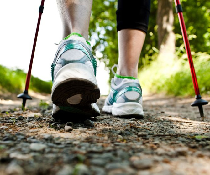 Etna Family - Cosa vedere Cosa Fare